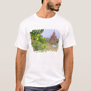 Asia, Myanmar (Burma), Bagan (Pagan). Cows T-Shirt