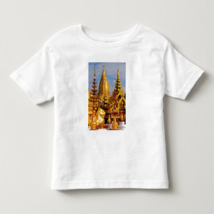 Asia, Myanmar (Burma), Bagan (Pagan). The Shwe 3 Toddler T-Shirt