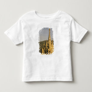 Asia, Myanmar, Inle Lake. Pagodas. Toddler T-Shirt