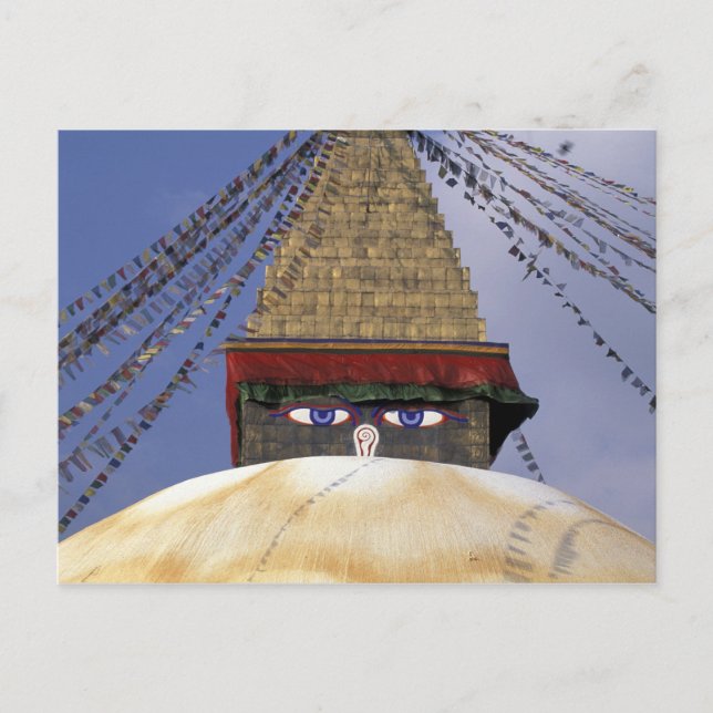 Asia, Nepal, Kathmandu. Bouddhanath Stupa. 2 Postcard (Front)
