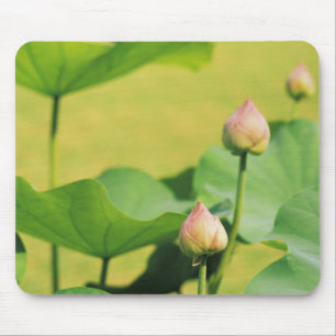 Asia, Thailand, Bangkok. Grand Palace, lotus Mouse Pad