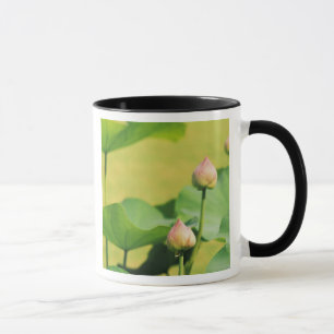 Asia, Thailand, Bangkok. Grand Palace, lotus Mug