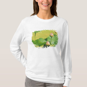 Asia, Thailand, Bangkok. Grand Palace, lotus T-Shirt