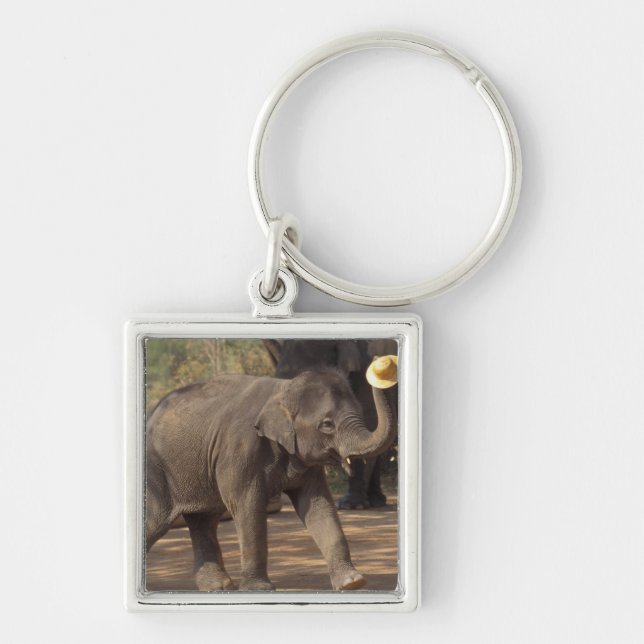 Asia, Thailand, Lampang Bowing with hat - Thai Key Ring (Front)