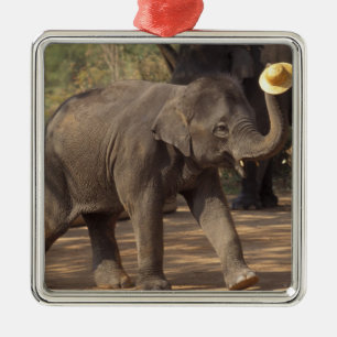 Asia, Thailand, Lampang Bowing with hat - Thai Metal Ornament