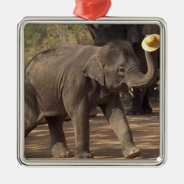 Asia, Thailand, Lampang Bowing with hat - Thai Metal Ornament (Front)