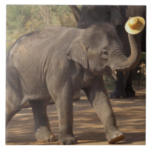 Asia, Thailand, Lampang Bowing with hat - Thai Tile