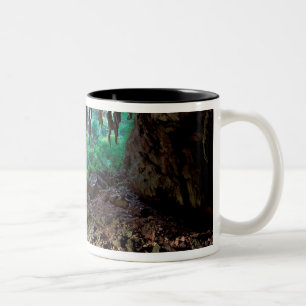 Asia, Thailand, Phangnga Bay NP Two-Tone Coffee Mug