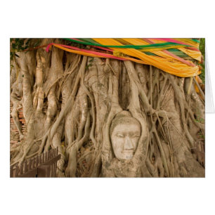 Asia, Thailand, Siam, Buddha in tree ruts at