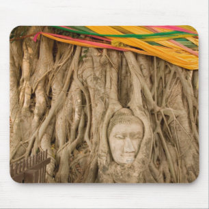 Asia, Thailand, Siam, Buddha in tree ruts at Mouse Pad