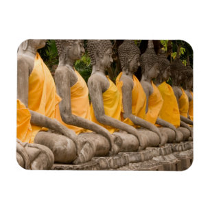 Asia, Thailand, Siam, Buddhas at Ayutthaya Magnet