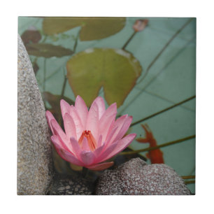 Asia, Vietnam. Water lily in a temple pond Ceramic Tile