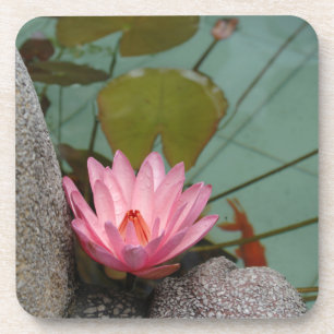 Asia, Vietnam. Water lily in a temple pond Coaster