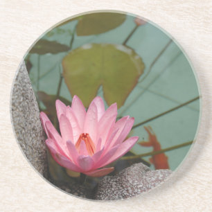 Asia, Vietnam. Water lily in a temple pond Coaster