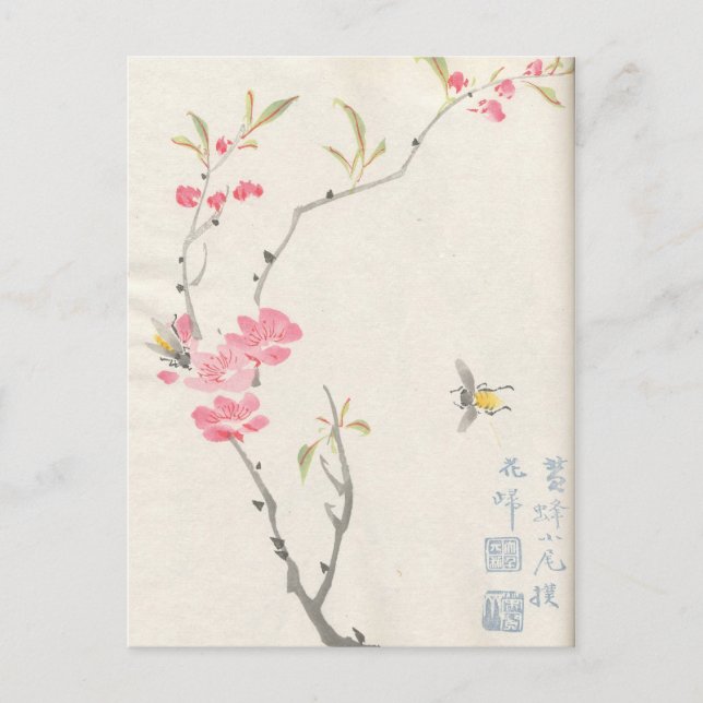 Asian Blossoms Vintage Postcard (Front)