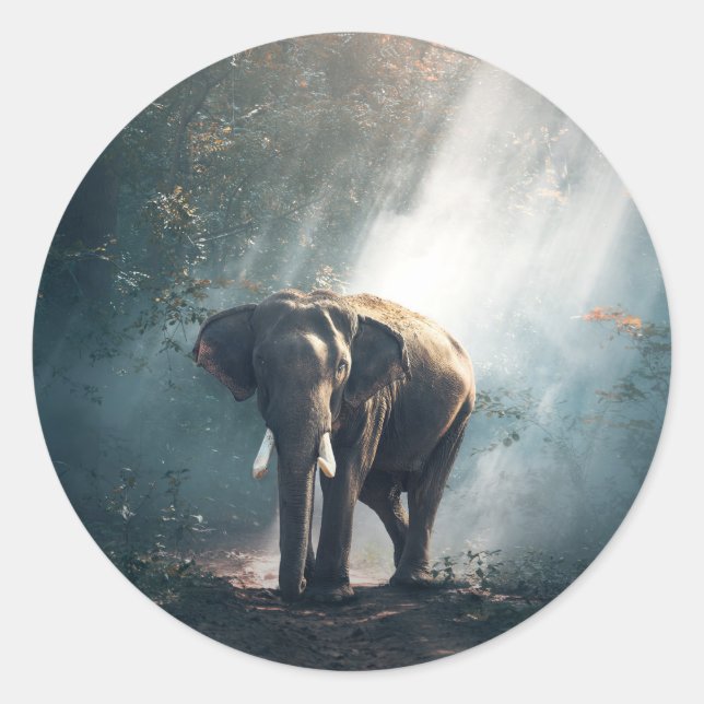 Asian Elephant in a Sunlit Forest Clearing Classic Round Sticker (Front)