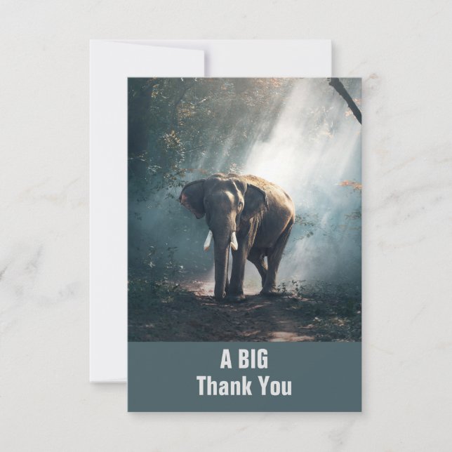 Asian Elephant in a Sunlit Forest Thank You (Front)