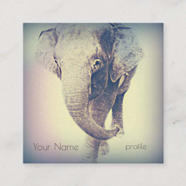 Asian Elephant in Vintage Colours Square Business Card (Front)