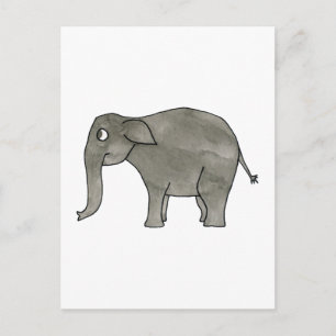 Asian Elephant. Postcard