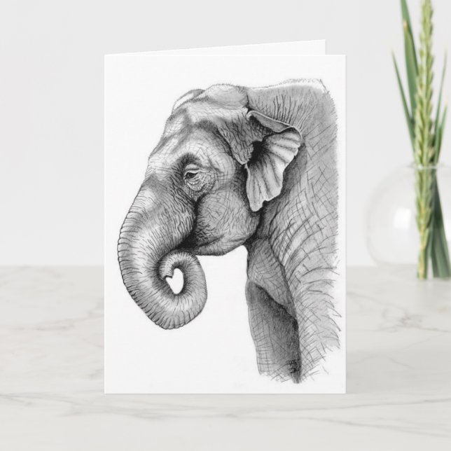 Asian elephant study Birthday Card (Front)