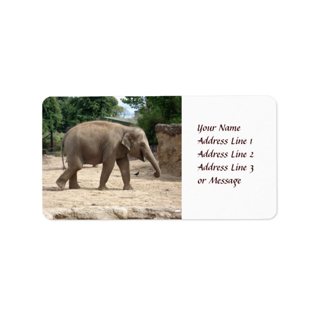 Asian Elephant Walking On Sand Adhesive Label (Front)