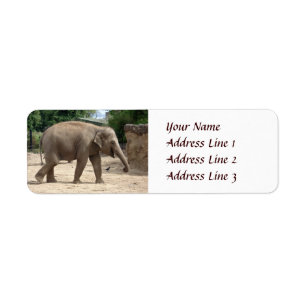 Asian Elephant Walking On Sand Return Address Return Address Label
