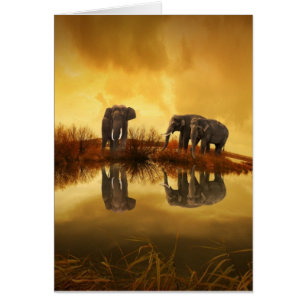 Asian Elephants in Thailand under a glowing sunset