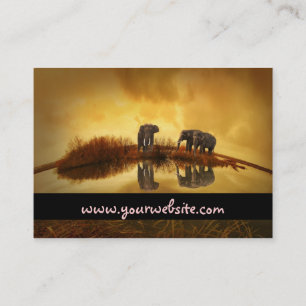 Asian Elephants in Thailand under a glowing sunset Business Card