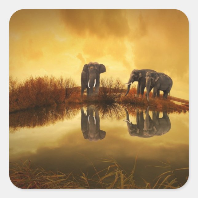 Asian Elephants in Thailand under a glowing sunset Square Sticker (Front)