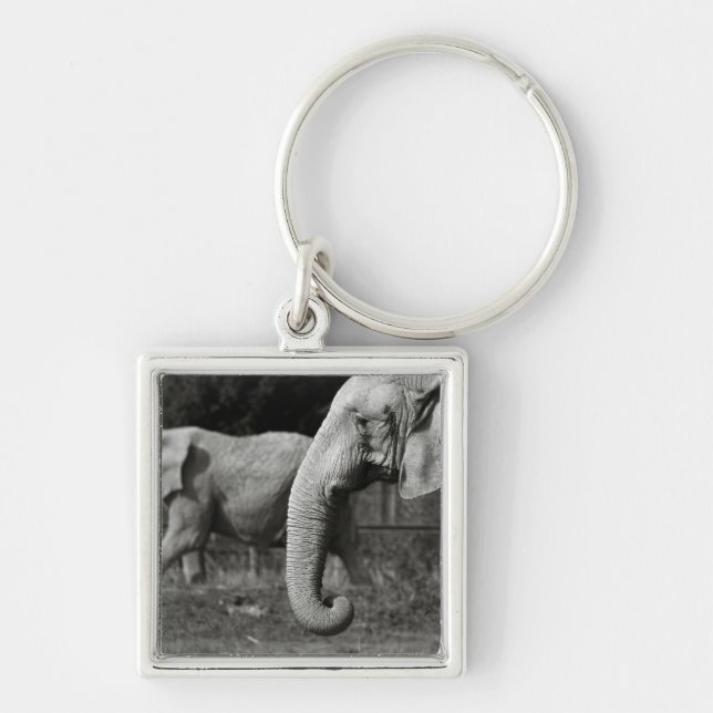 Asian Elephants Keychain (Front)