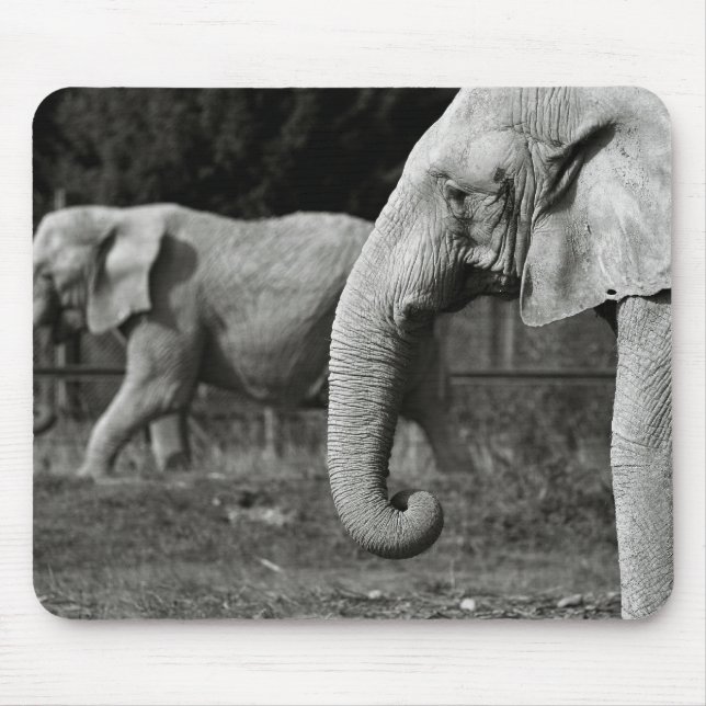 Asian Elephants Mouse Pad (Front)