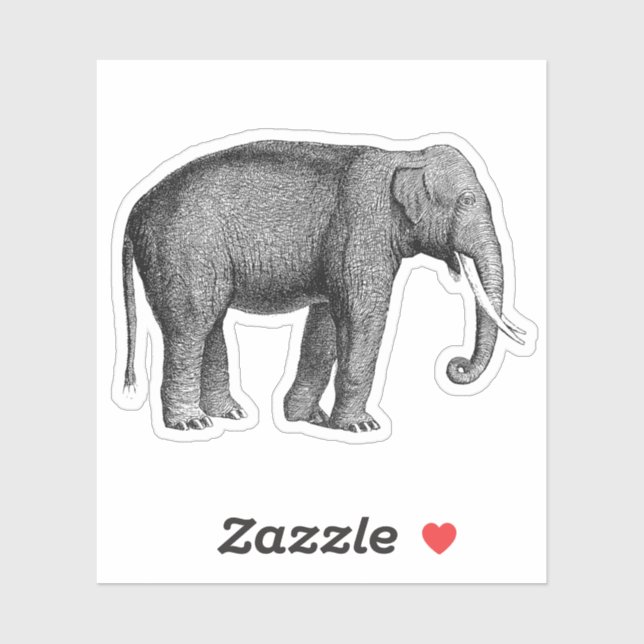 Asian Elephants Print (Sheet)