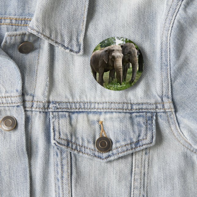 Asian Elephants Side by Side 6 Cm Round Badge (In Situ)