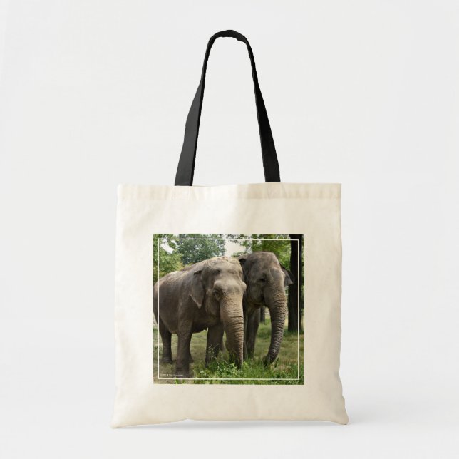 Asian Elephants Side by Side Tote Bag (Front)