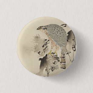 Asian Goshawk - 1890 3 Cm Round Badge