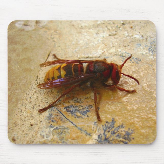 Asian Hornet Mouse Mat (Front)