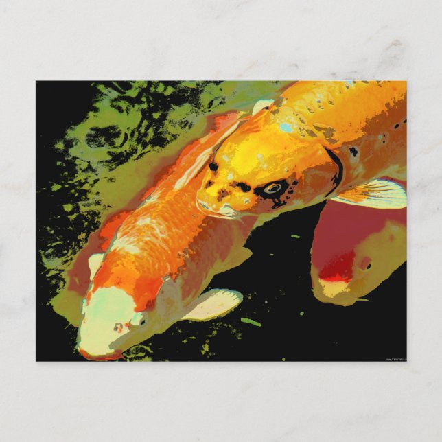 Asian Koi Fish Carp Abstract Art Postcard (Front)