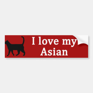 Asian Love Bumper Sticker