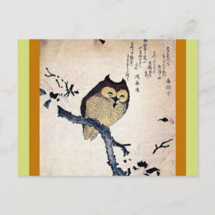 Asian Owl Postcard