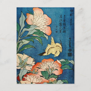 ASIAN PEONIES postcard