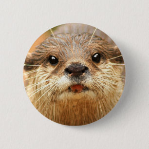 Asian Small Clawed Otter 6 Cm Round Badge