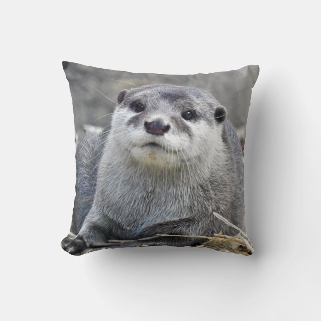 Asian Small-Clawed Otter Cushion (Front)
