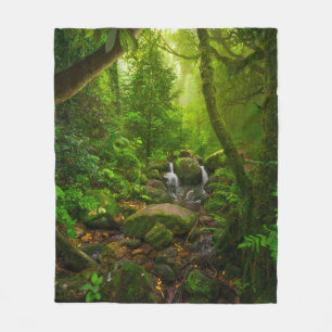 Asian tropical rainforestjungle,forest,environment fleece blanket
