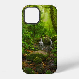 Asian tropical rainforestjungle,forest,environment iPhone 12 case