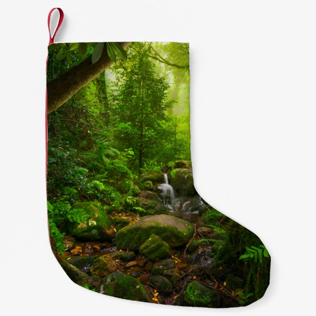 Asian tropical rainforestjungle,forest,environment small christmas stocking (Front)