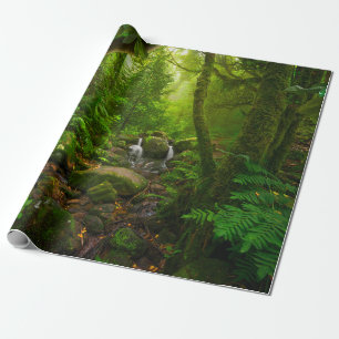 Asian tropical rainforestjungle,forest,environment wrapping paper