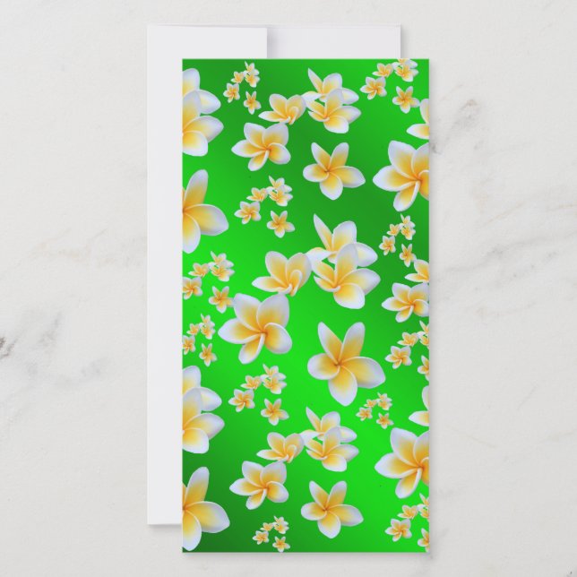 asian, yellow, white, bloom, bright, gold, floral (Front)