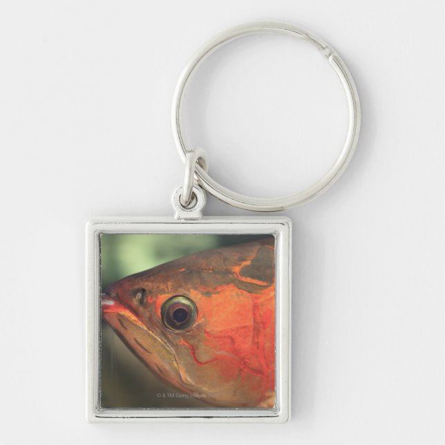 Asiatic arowana key ring (Front)