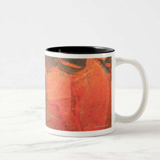 Asiatic arowana Two-Tone coffee mug (Right)