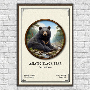 Asiatic Black Bear Zoology Series Poster